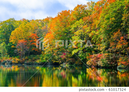 Myoko / Sennin Pond的秋葉 Myoko / Sennin Pond的秋葉 61017324
