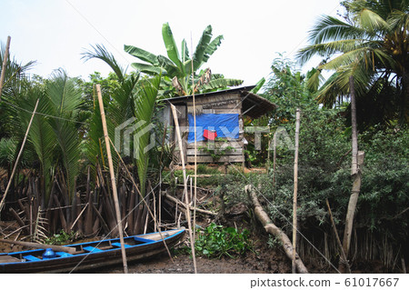 Mekong Delta, Mekong River Cruise, Vietnam Mekong Delta, Mekong River Cruise, Vietnam 61017667