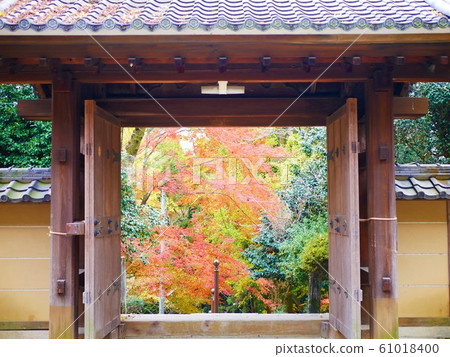 瀨戶/禦堂寺的紅葉 瀨戶/禦堂寺的紅葉 61018400