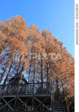 Scenery of Kuki City, Kuki City, Saitama Prefecture Scenery of Kuki City, Kuki City, Saitama Prefecture 61018433