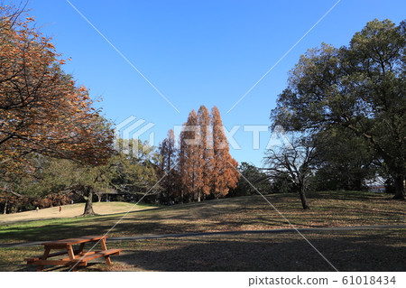 Scenery of Kuki City, Kuki City, Saitama Prefecture 61018434