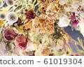 Dried flowers hung from the ceiling 61019304