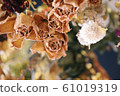 Dried flowers hung from the ceiling 61019319