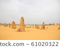 Pinnacles 61020322