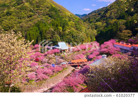 大分市池田寺 61020377