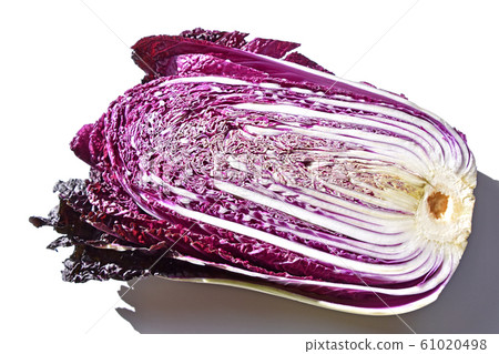 Purple Chinese cabbage Purple Chinese cabbage 61020498