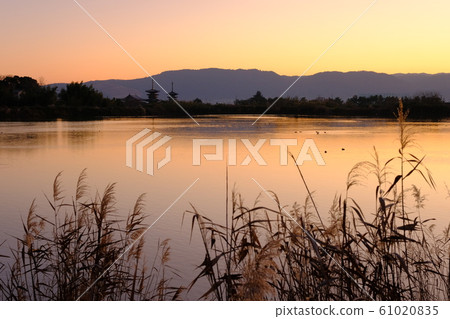 藥師寺的第一個日出（奈良市西京橋） 61020835