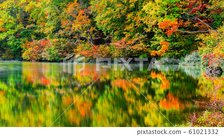 Myoko / Sennin Pond的秋葉 61021332