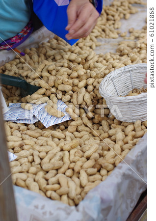 花生 花生 61021868