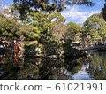 自然 61021991