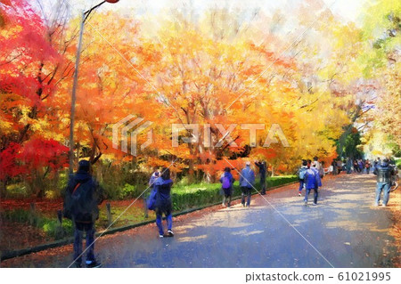 Autumn leaves at Kitanomaru Park (December) Chiyoda-ku, Tokyo 61021995