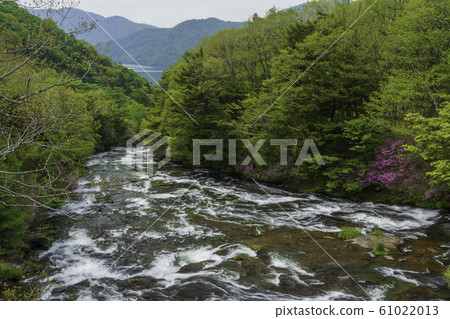 (Tochigi Prefecture) Ryuzu Falls, upstream of Lake Chuzenji 61022013