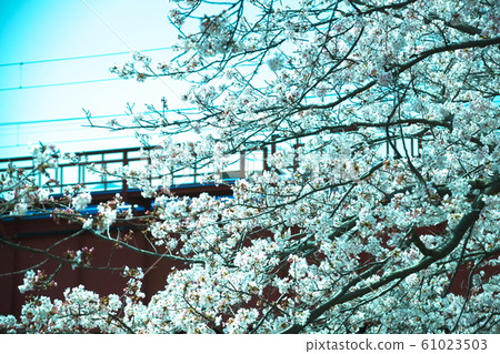 Beppu City River River 61023503
