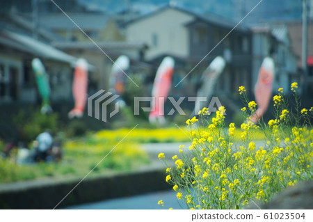 Beppu City River River 61023504