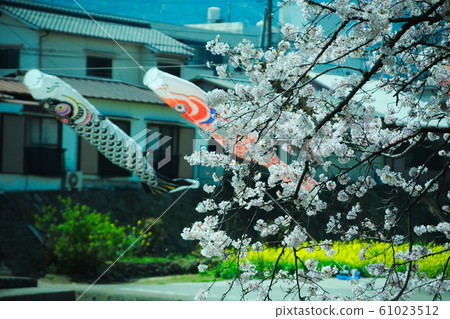 Beppu City River River 61023512