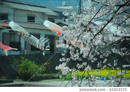 Beppu City River River 61023533