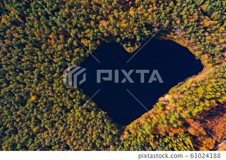 Aerial view of forest lake in a shape of heart. Romantic love pond hidden place in autumn woods Aerial view of forest lake in a shape of heart. Romantic love pond hidden place in autumn woods 61024188