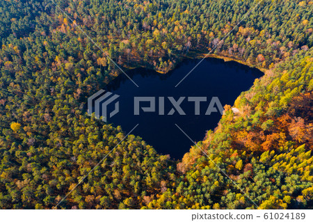Aerial view of forest lake in a shape of heart. Autumn woods drone photo romantic love pond. Aerial view of forest lake in a shape of heart. Autumn woods drone photo romantic love pond. 61024189