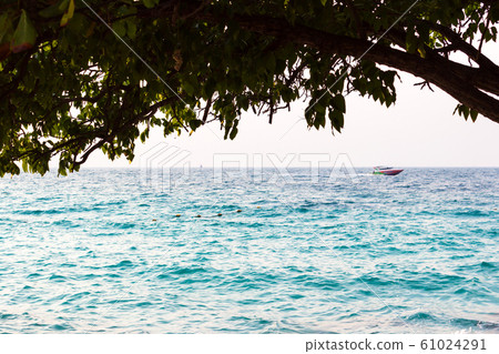 Boat are Floating on the blue Sea under the Tree Boat are Floating on the blue Sea under the Tree 61024291