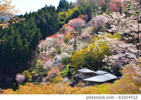 Yoshinoyama Yoshinoyama 61024512