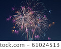 Fireworks 61024513