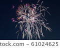 Fireworks 61024625