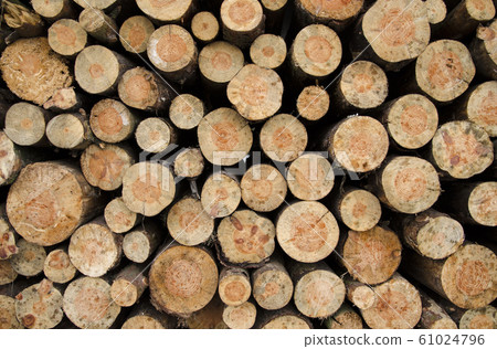 A close-up view of a texture of cut wood stacks 61024796