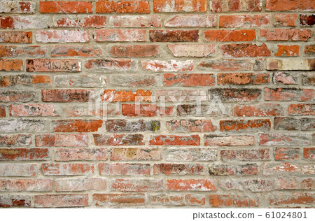 Detailed view of the structure of the wall of Detailed view of the structure of the wall of 61024801