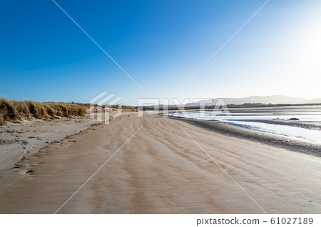 The landscape of the Sheskinmore Nature Reserve between Ardara and Portnoo in Donegal - Ireland 61027189