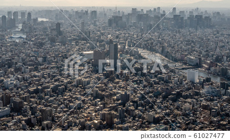 Bird's eye view of Tokyo, Japan 61027477