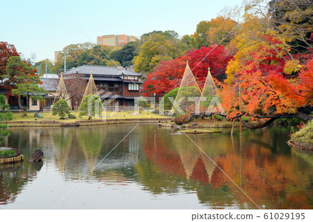 Autumn leaves of Higo Hosokawa Garden (December) Bunkyo-ku, Tokyo Autumn leaves of Higo Hosokawa Garden (December) Bunkyo-ku, Tokyo 61029195