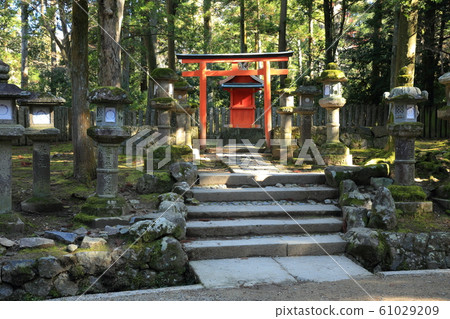 奈良公園春日大社神社 61029209