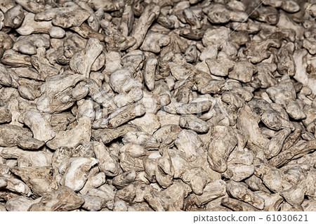 ginger background dried root vegetable strongly 61030621
