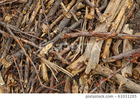 beaver dam made of wood stick pattern dark brown beaver dam made of wood stick pattern dark brown 61031205