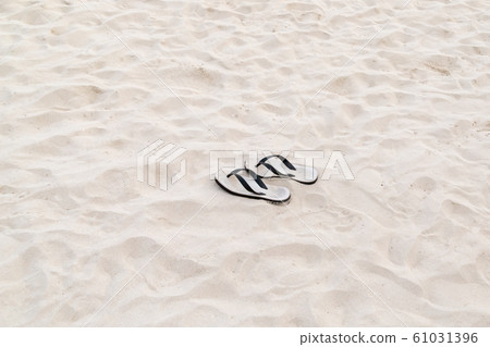 white shale stands sand on the beach tropical white shale stands sand on the beach tropical 61031396