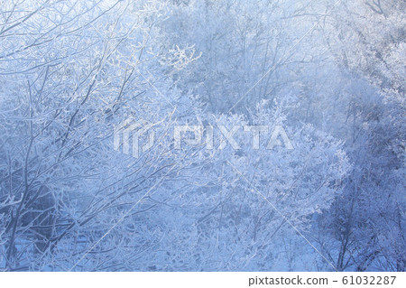 Rime forest Rime forest 61032287