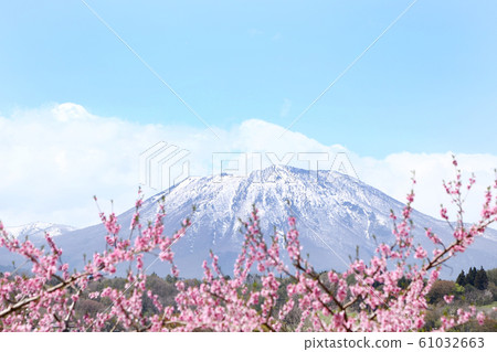 桃花和黑姬山 61032663