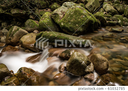 Jakuchi Gorge 61032785