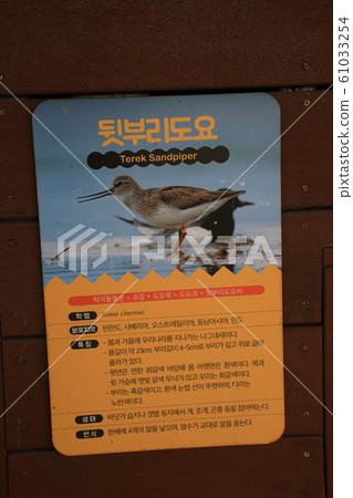 始興,高句麗公園,生態公園,濕地 始興,高句麗公園,生態公園,濕地 61033254