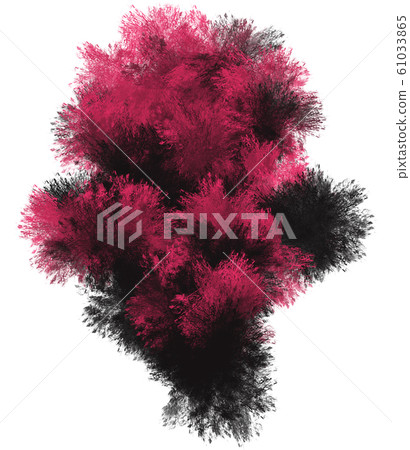 Artistic painting in red and black tones. Colorful paint splashes isolated on white background. Creative modern creation. Abstract bouquet of flowers. 61033865
