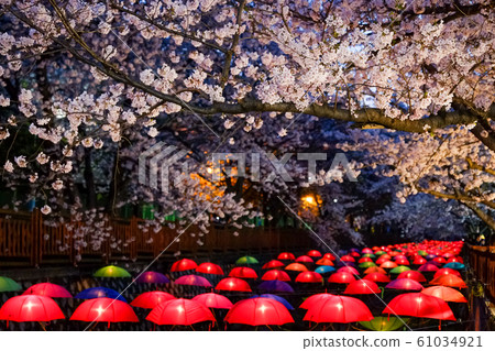 Jinhae Gunhangje Festival in night in Busan,Korea. 61034921