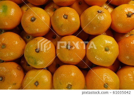 Mandarin orange 61035042
