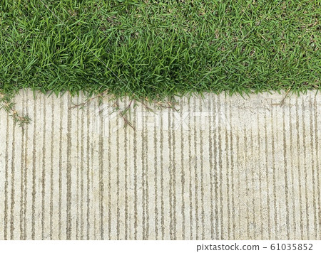 Concrete walkway with green grass Concrete walkway with green grass 61035852