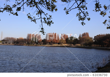 Scenery of Kuki City, Kuki City, Saitama Prefecture Scenery of Kuki City, Kuki City, Saitama Prefecture 61036730