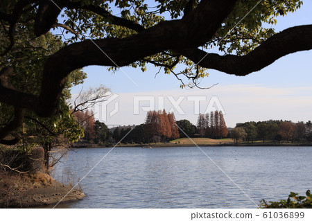 埼玉縣久喜市久久市的風景 61036899