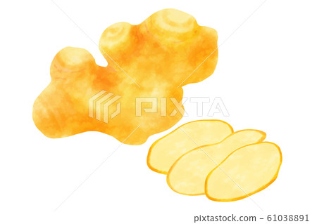  ginger 61038891