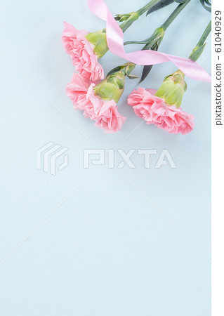 Yasuno Kaoru母親節康乃馨花粉紅色康乃馨母親節 Yasuno Kaoru母親節康乃馨花粉紅色康乃馨母親節 61040929