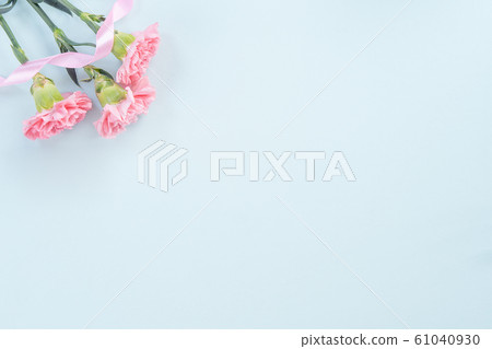 Yasuno Kaoru母親節康乃馨花粉紅色康乃馨母親節 61040930