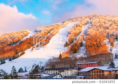 滋賀高原滑雪場(2020年1月),風景故事(滋賀高原冬季) 滋賀高原滑雪場(2020年1月),風景故事(滋賀高原冬季) 61041855