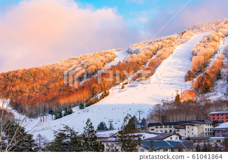 Shiga Kogen Ski Resort (January 2020), Landscape Story (Winter of Shiga Kogen) Shiga Kogen Ski Resort (January 2020), Landscape Story (Winter of Shiga Kogen) 61041864